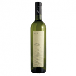 bottiglia verdicchio matelica vertis paglianetto